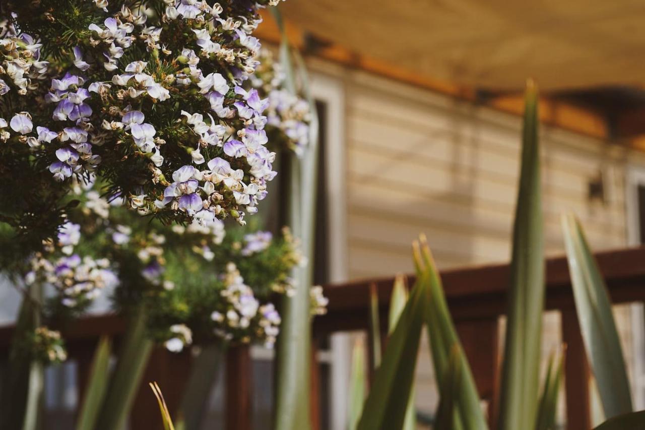 Beach House 'Aisling' Villa Lunawanna Dış mekan fotoğraf